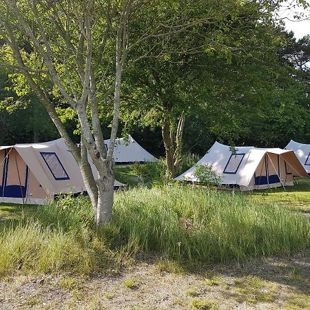 Ameland Tentenverhuur Nes  Eksteriør billede