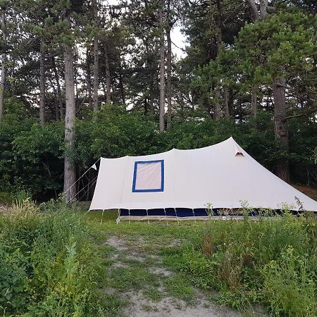 Ameland Tentenverhuur Nes  Eksteriør billede
