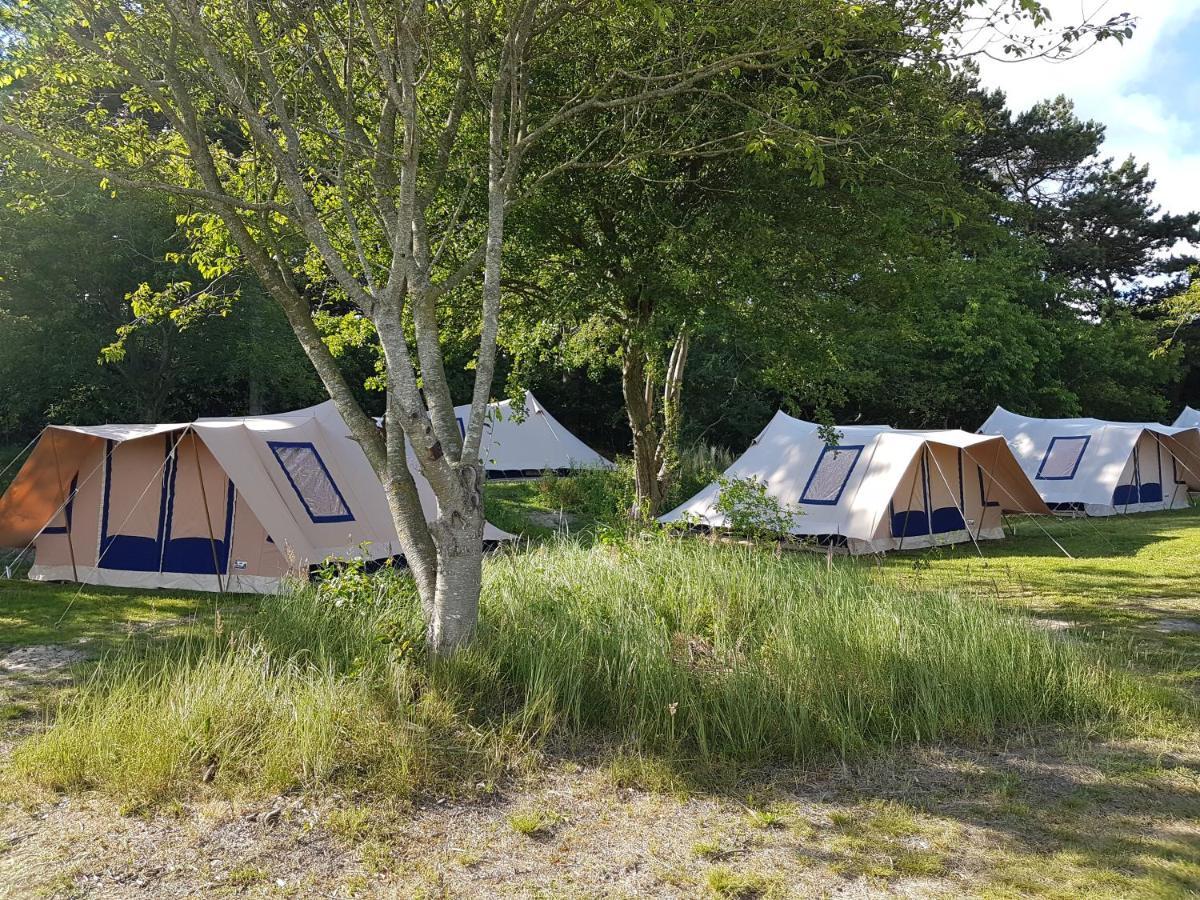 Ameland Tentenverhuur Nes  Eksteriør billede