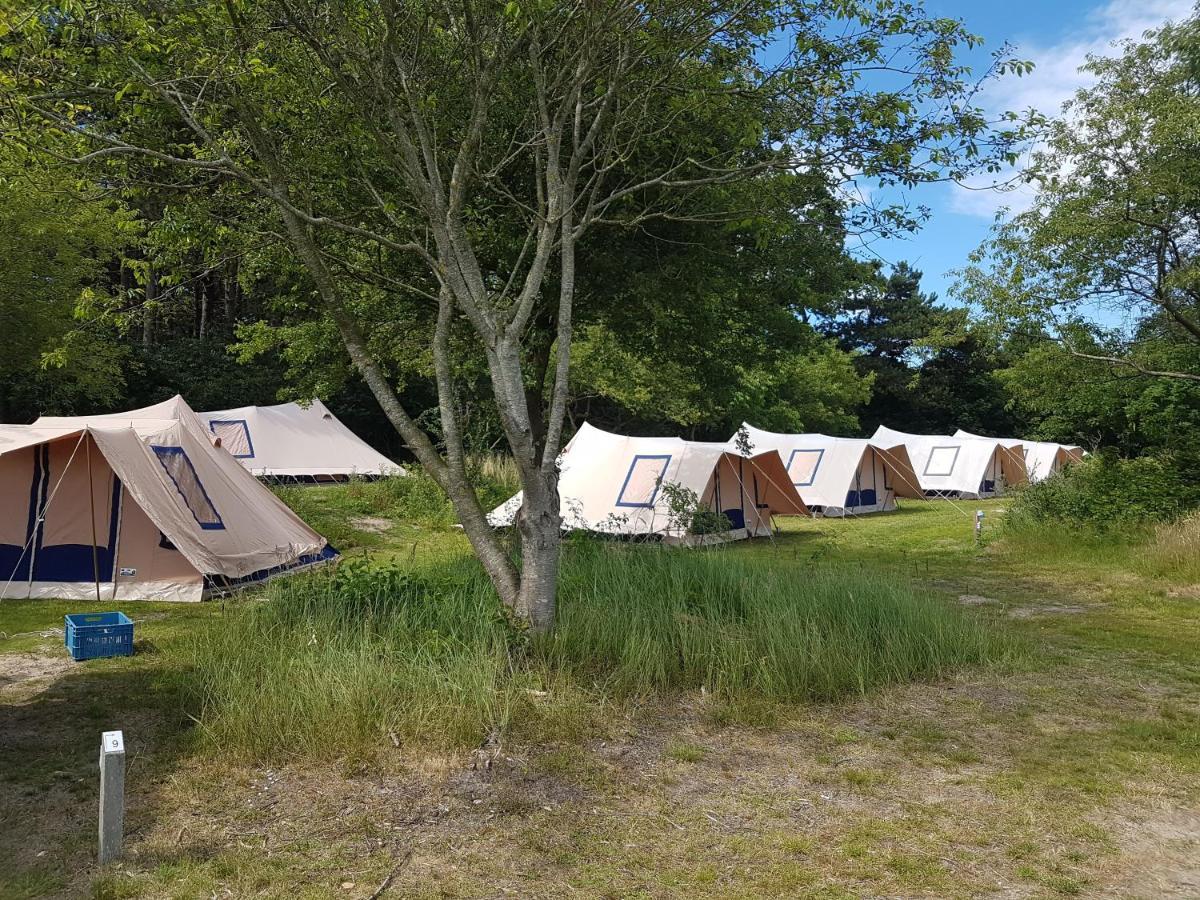 Ameland Tentenverhuur Nes  Eksteriør billede