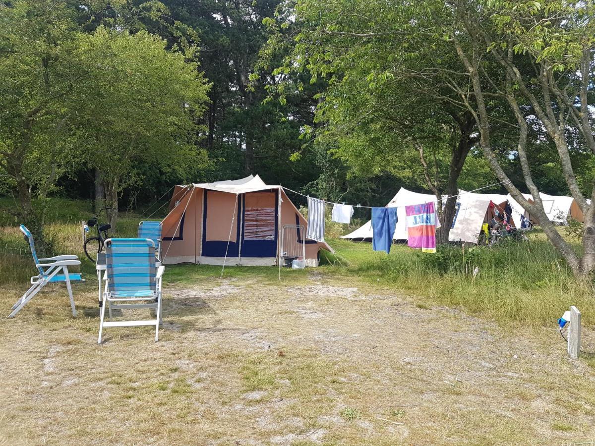 Ameland Tentenverhuur Nes  Eksteriør billede
